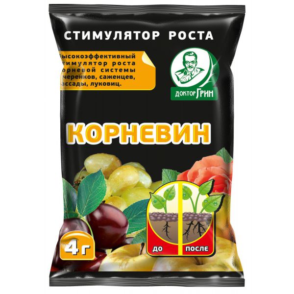КОРНЕВИН 4гр.ВХ