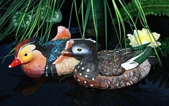 УТКА КРЯКАЮЩАЯ 